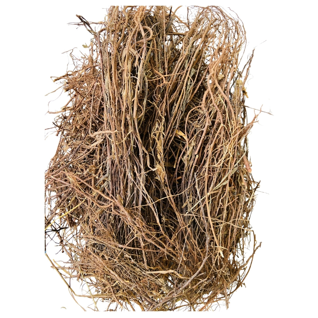 Bhumi Amla (Raw) - Bhui Amla / Phyllanthus Niruri / For Liver Health