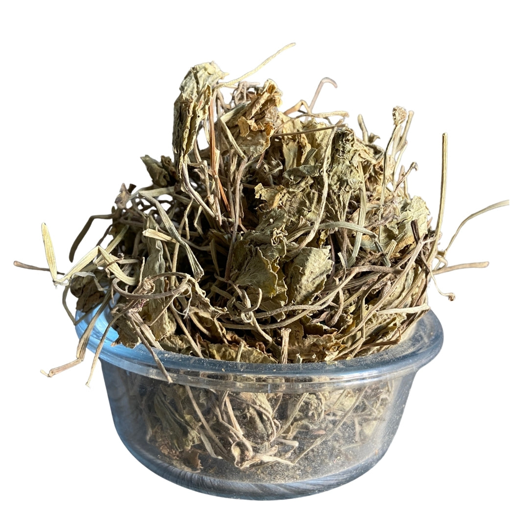 Brahmi Leaves (Raw) - Jal Brahmi | Bacopa | For Memory & Brain Health
