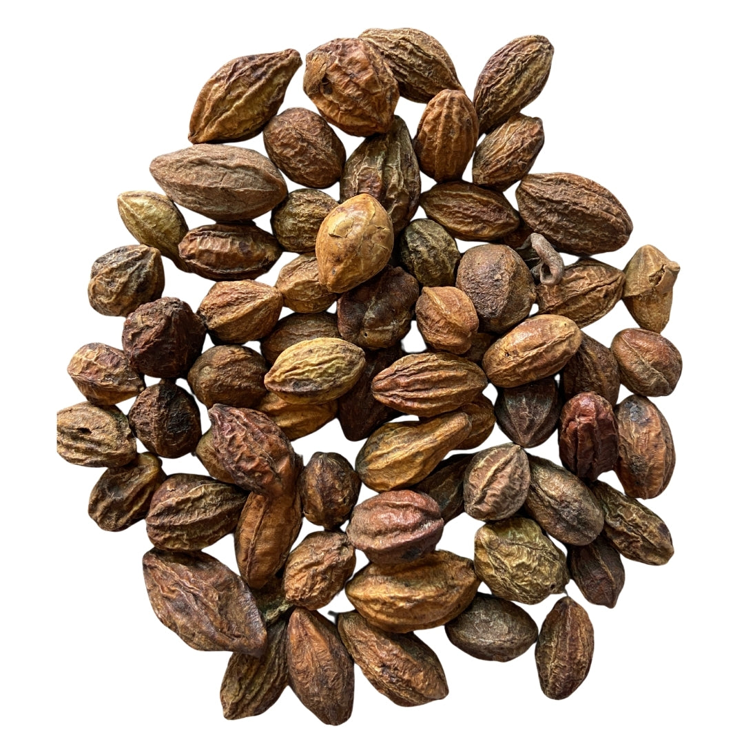 Harad Sabut (Raw) - Harar / Haritaki | For Digestion, Detox, Triphala, Gut