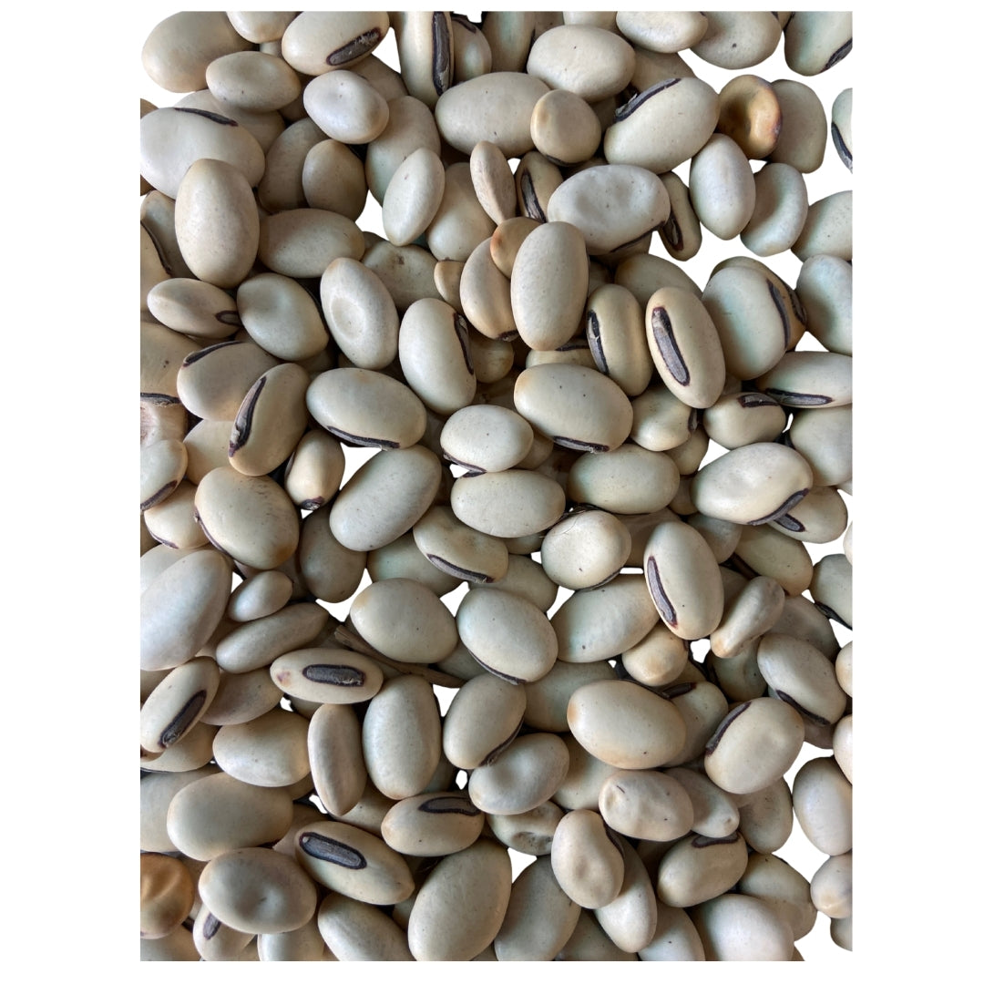 Kaunch beej safed (Raw) - Kapikachu, Mucuna| Strength, Fertility, Vitality