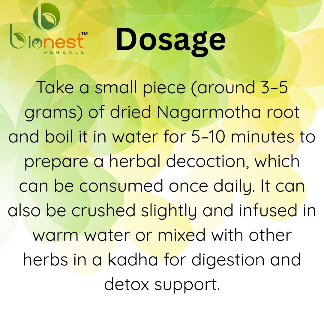 Bionest Herbals Nagarmotha