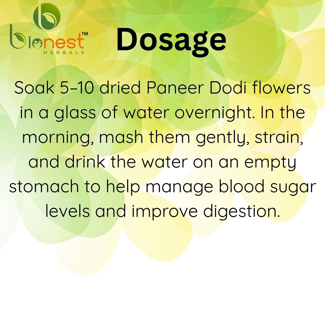 Bionest Herbals Panir Dodi