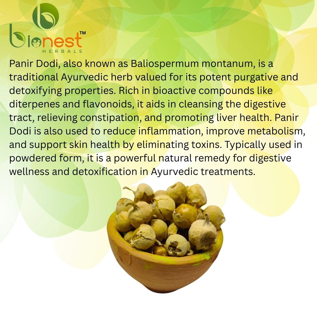 Bionest Herbals Panir Dodi