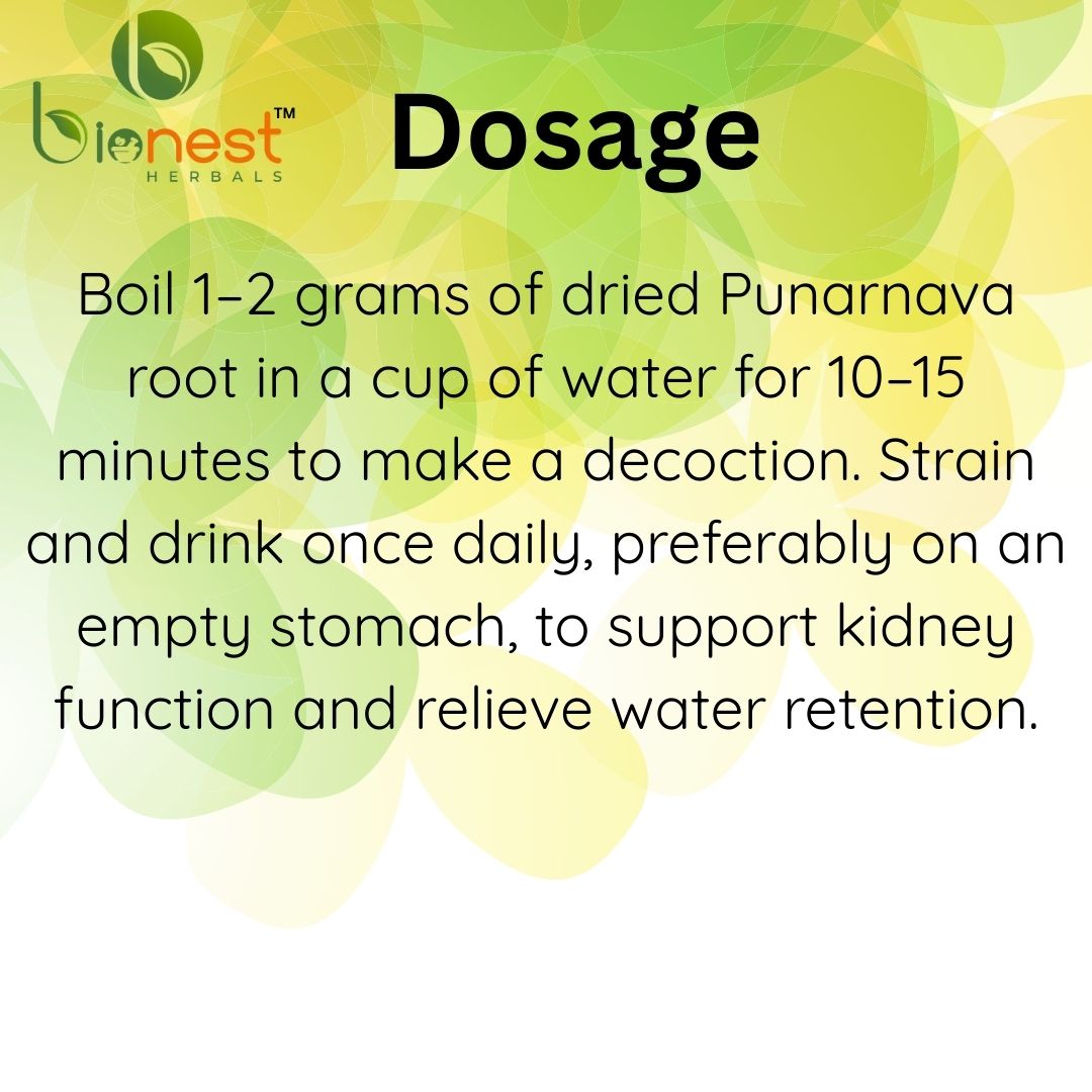 Bionest Herbals Punernava
