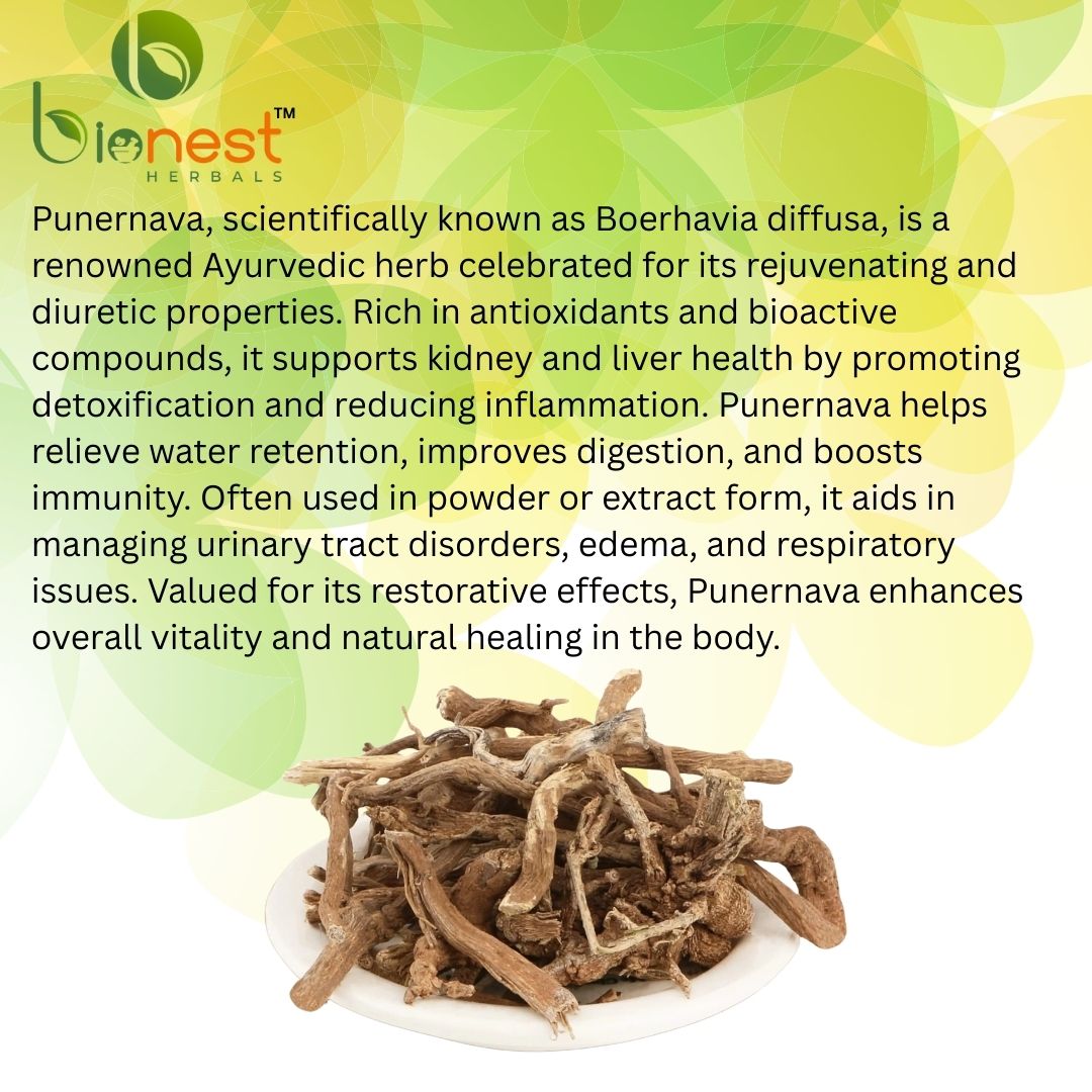 Bionest Herbals Punernava