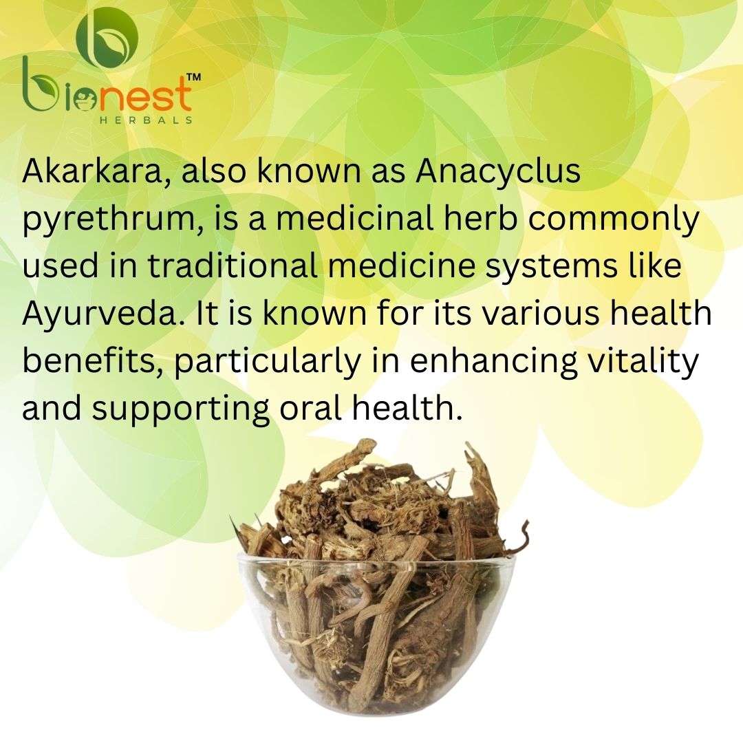 Bionest Herbals Akarkara roots - 250 gm