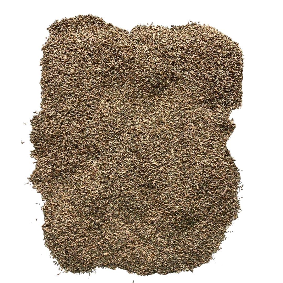 Bionest Herbals Apamarg beej - 250 gm