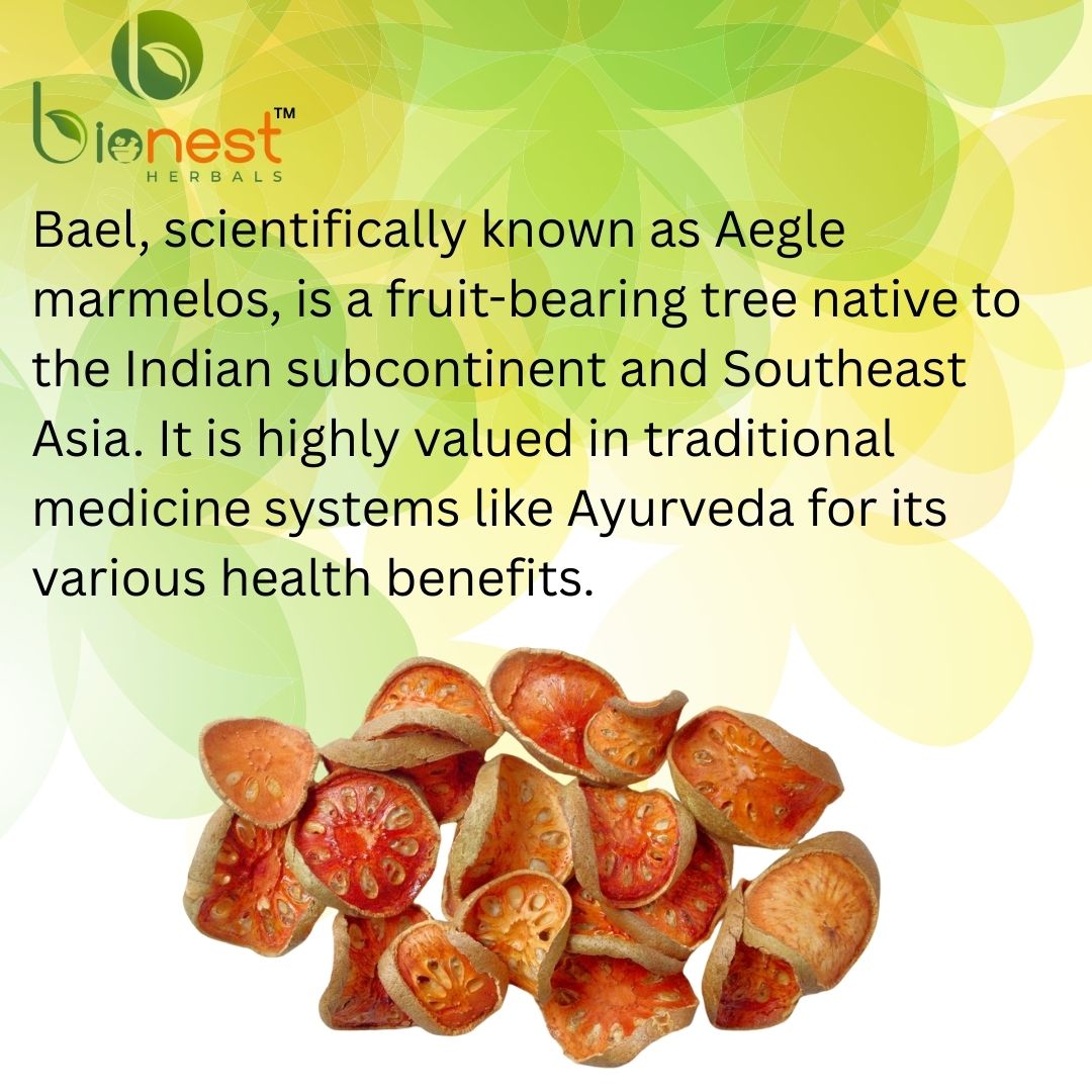 Bionest Herbals Bael Fruit - 250 gm