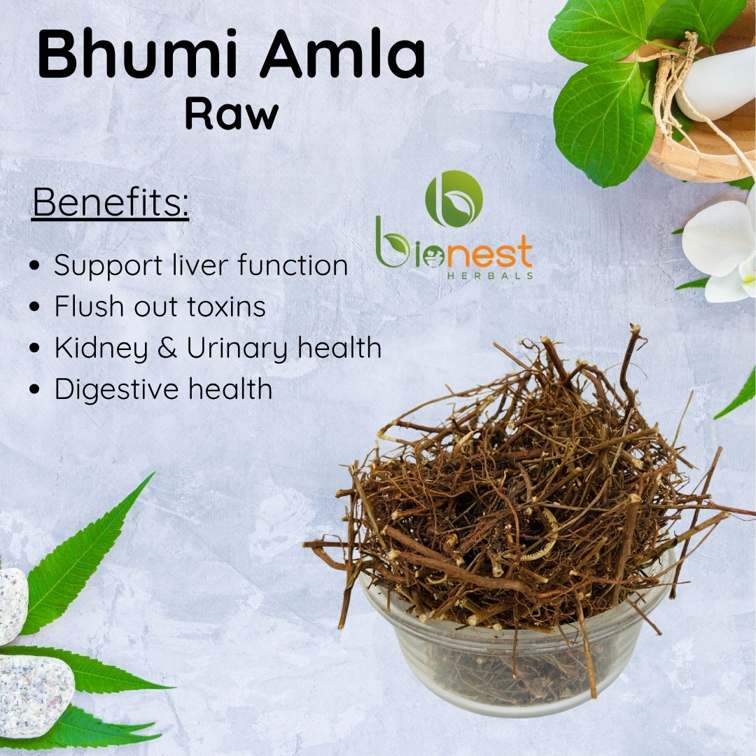 Bhumi Amla (Raw) - Bhui Amla / Phyllanthus Niruri / For Liver Health