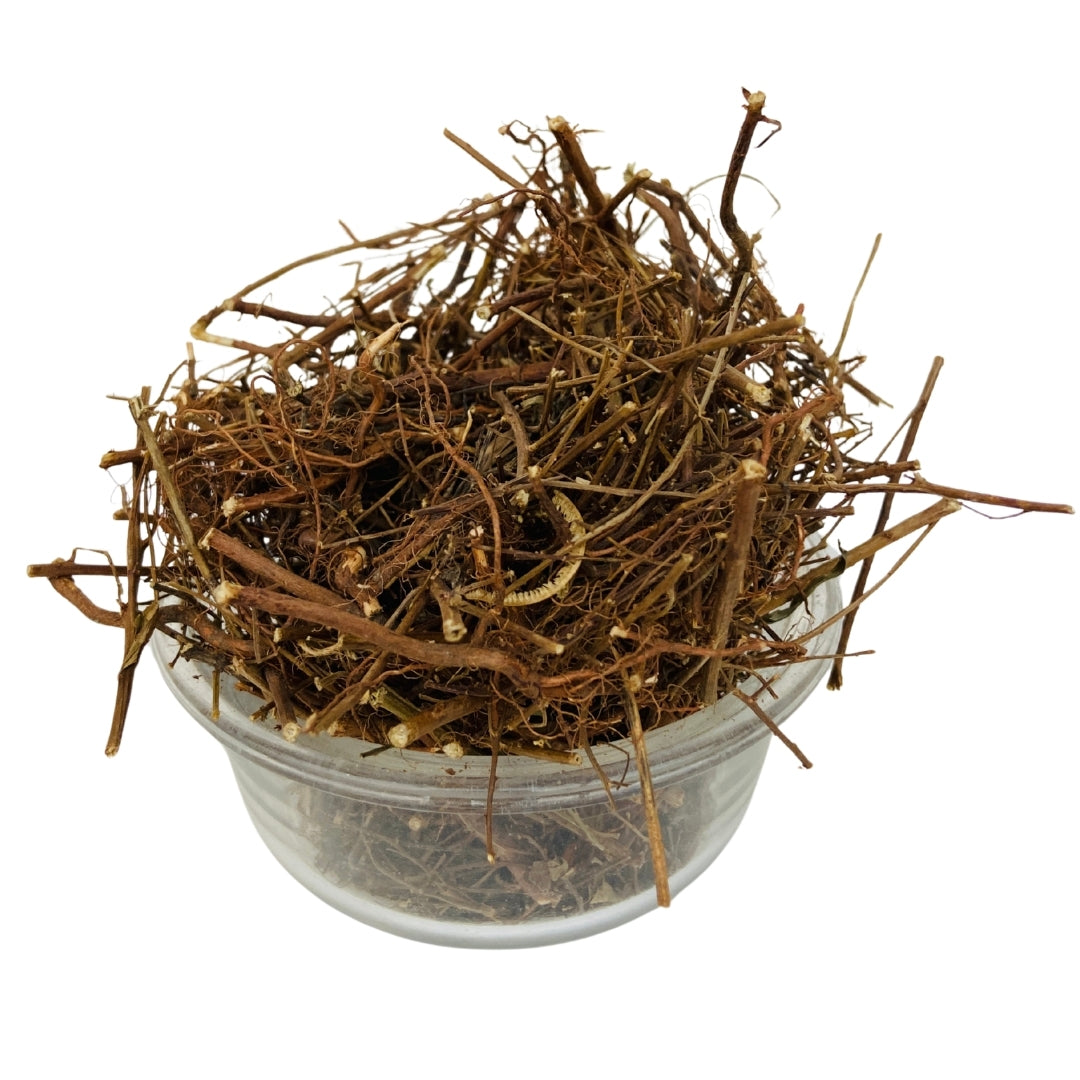 Bhumi Amla (Raw) - Bhui Amla / Phyllanthus Niruri / For Liver Health