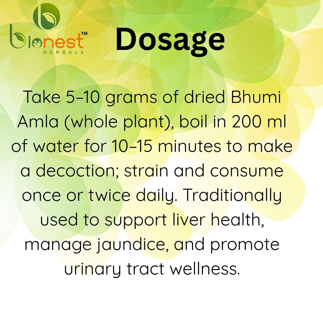 Bionest Herbals Bhumi Amla - 250 gm