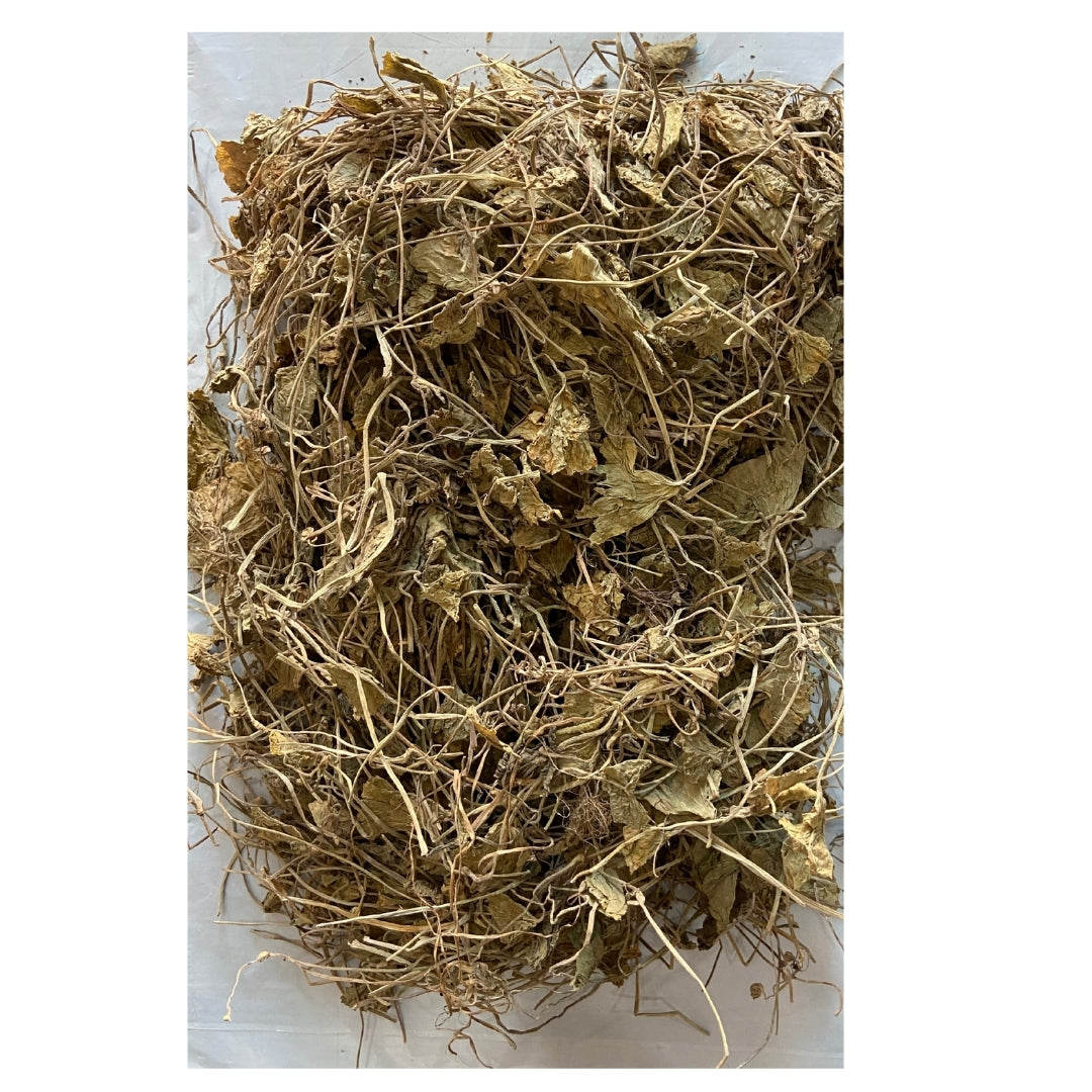 Brahmi Leaves (Raw) - Jal Brahmi | Bacopa | For Memory & Brain Health