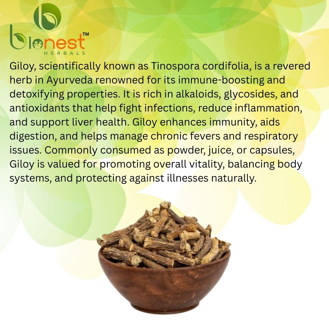Bionest Herbals Giloy - 250 gm