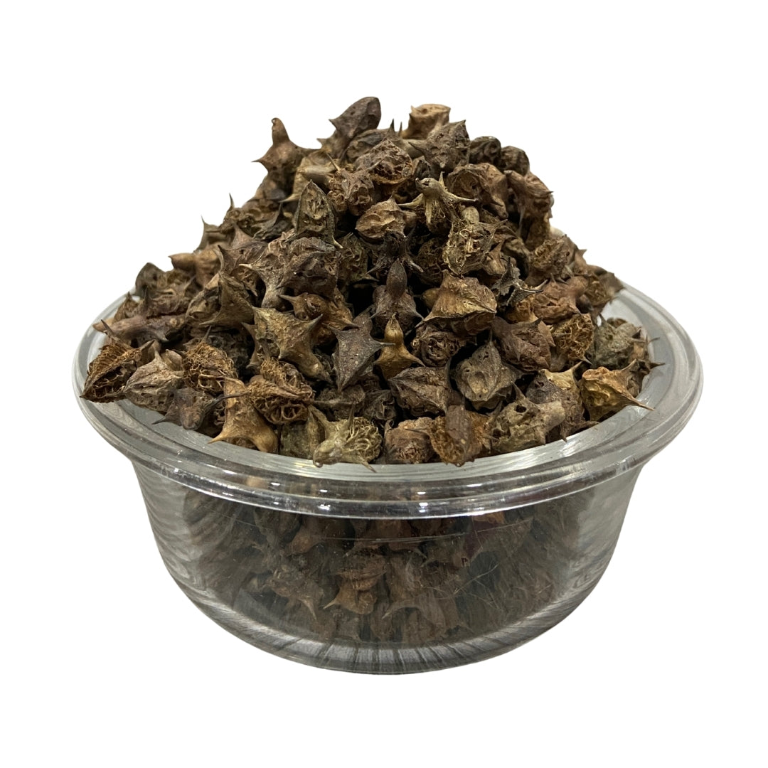 Bionest Herbals Gokhru Bada - 250 gm