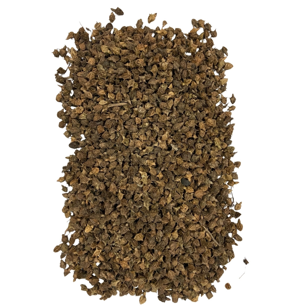 Bionest Herbals Gokhru Bada - 250 gm