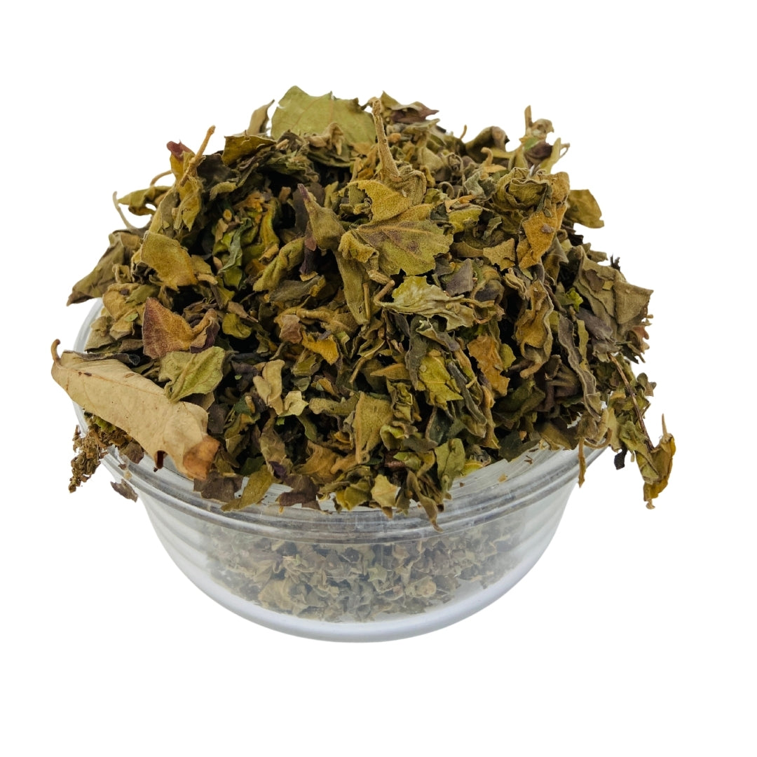Gudmar Leaves (Raw) - Gurmar / Madhunashini | For Diabetes Sugar Support