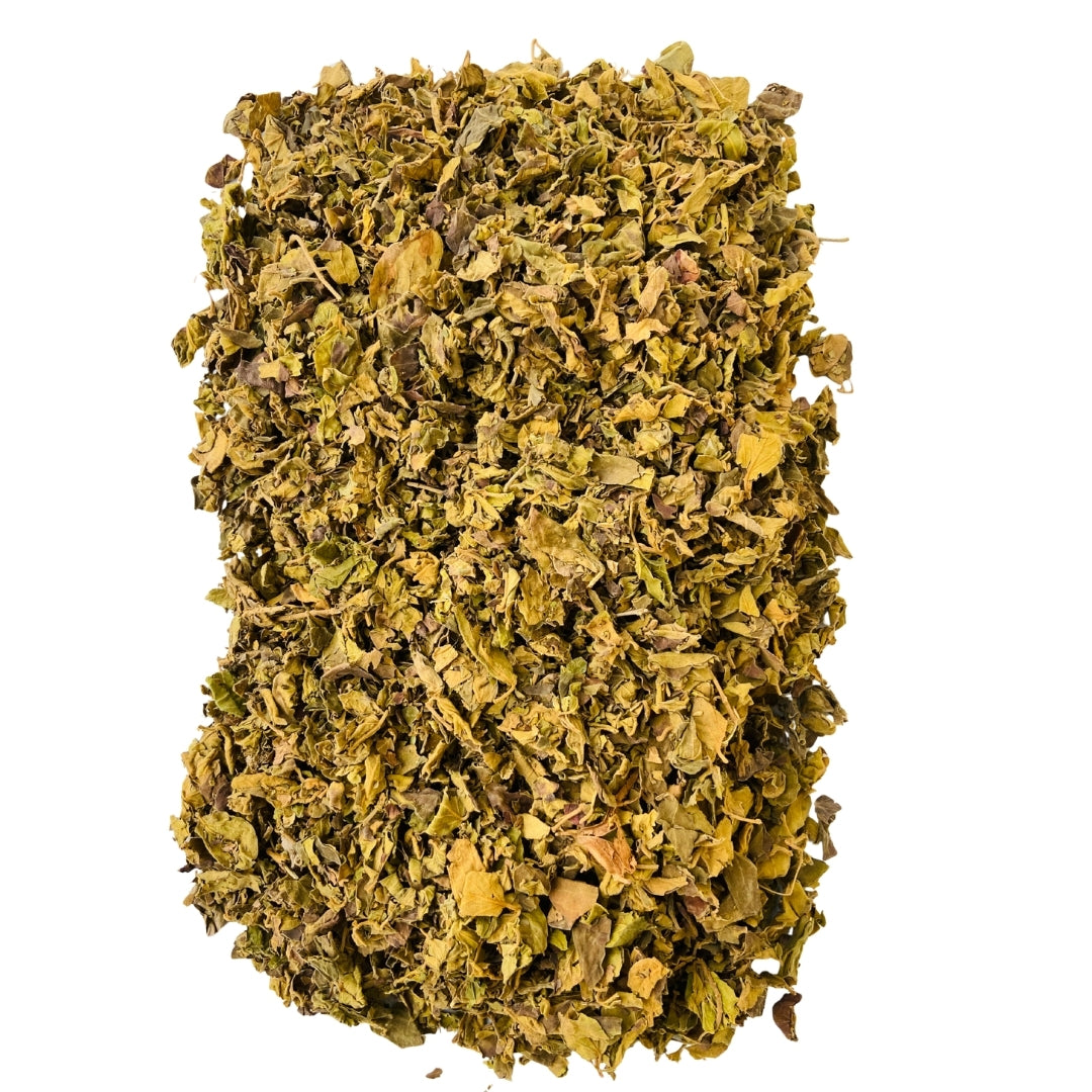 Gudmar Leaves (Raw) - Gurmar / Madhunashini | For Diabetes Sugar Support
