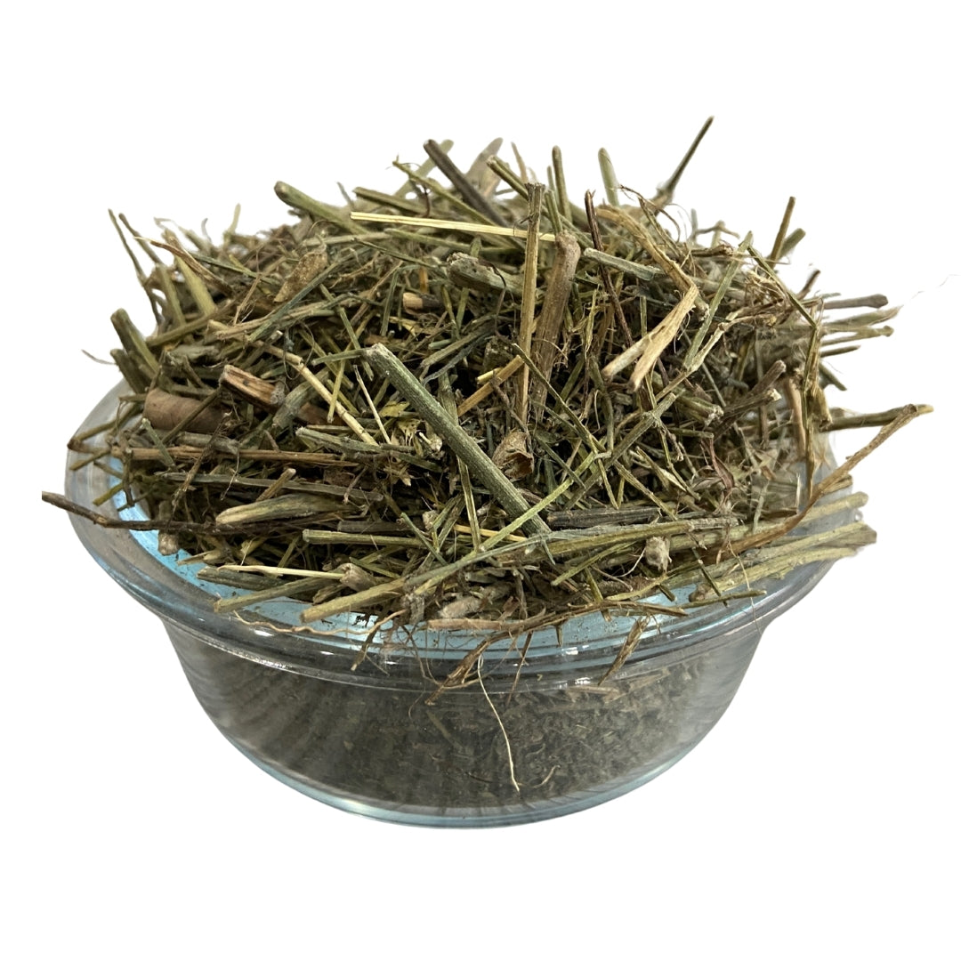 Kalmegh (Raw) - Chirayta Hara / Chiretta | Liver Detox, Immunity & Fever