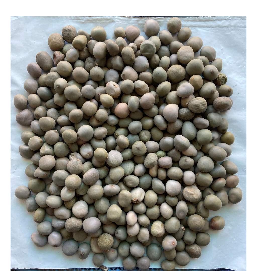 Bionest Herbals Karanj beej - 250 gm