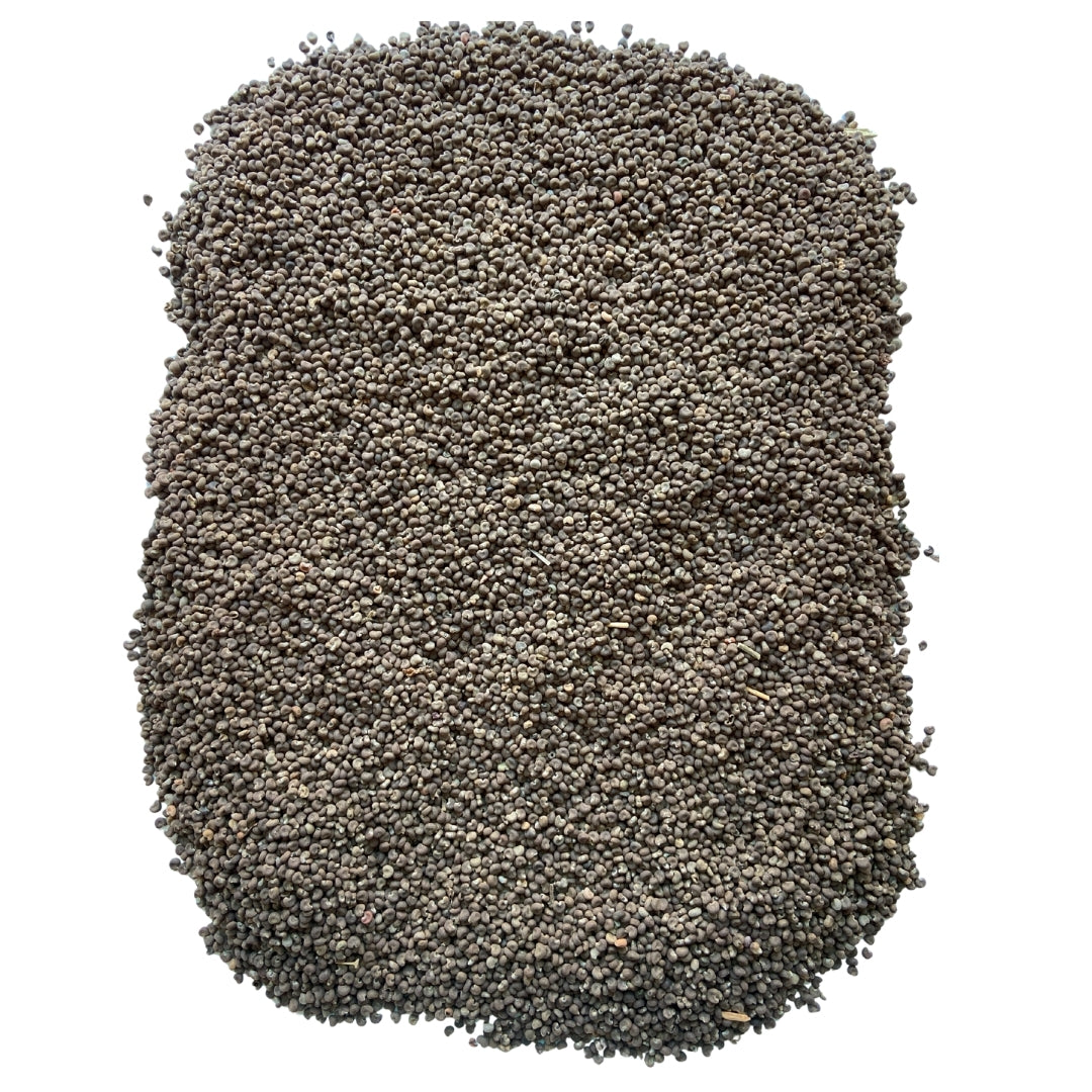 Bionest Herbals Lata Kasturi - 250 gm