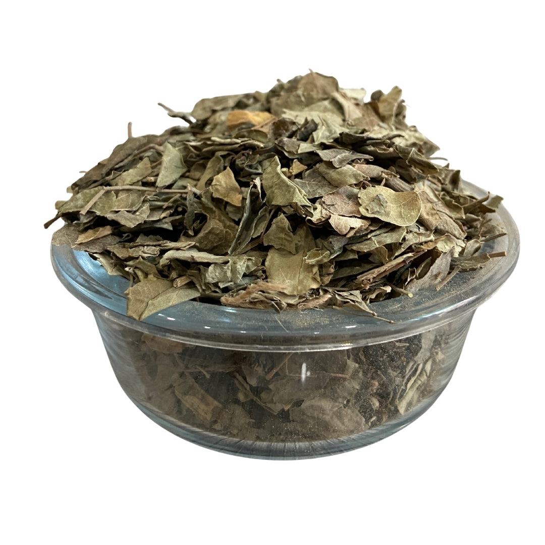 Moringa Leaves (Raw) - Sahjan patti| Immunity, Energy, Superfood Nutrition