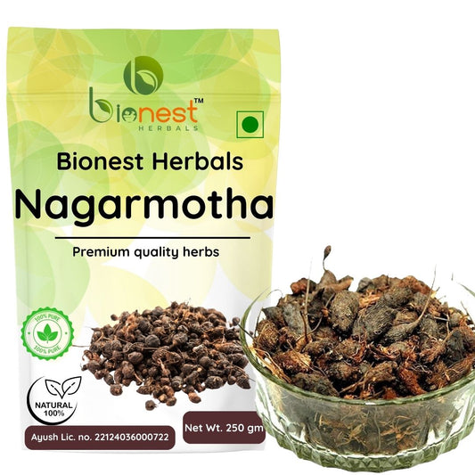 Bionest Herbals Nagarmotha