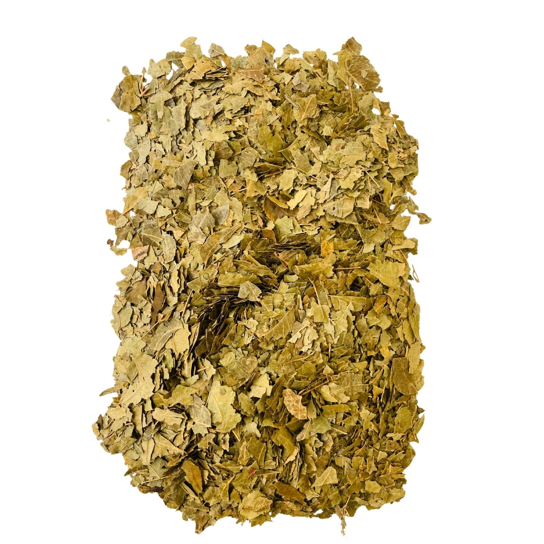 Neem Leaves (Raw) - Neem patti / Nimb | Skin, Blood Purification & Immunity
