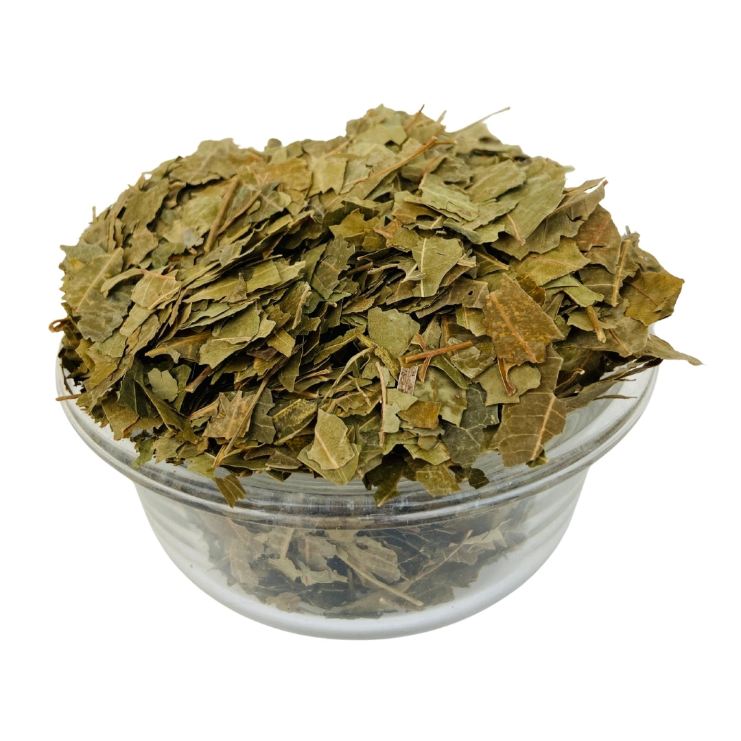 Neem Leaves (Raw) - Neem patti / Nimb | Skin, Blood Purification & Immunity