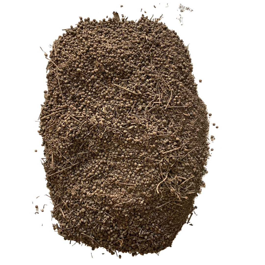 Nirgundi beej (Raw) - Sambhalu| Pain Relief, Inflammation & Joint Health