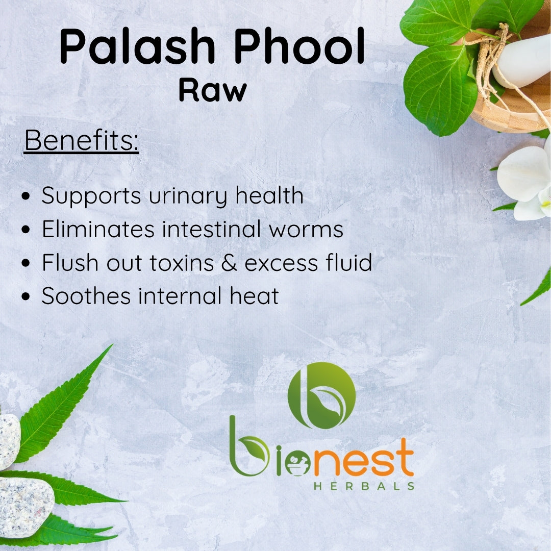 Palash Phool (Raw) - 100 g - Phool Tesu | For Urinary health, intestinal worms