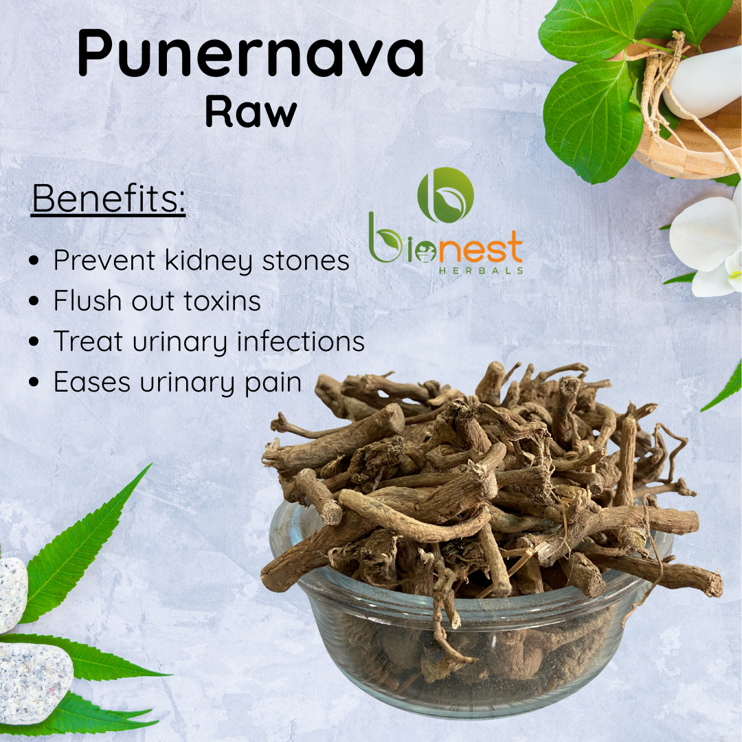 Bionest Herbals Punernava roots - 250 gm