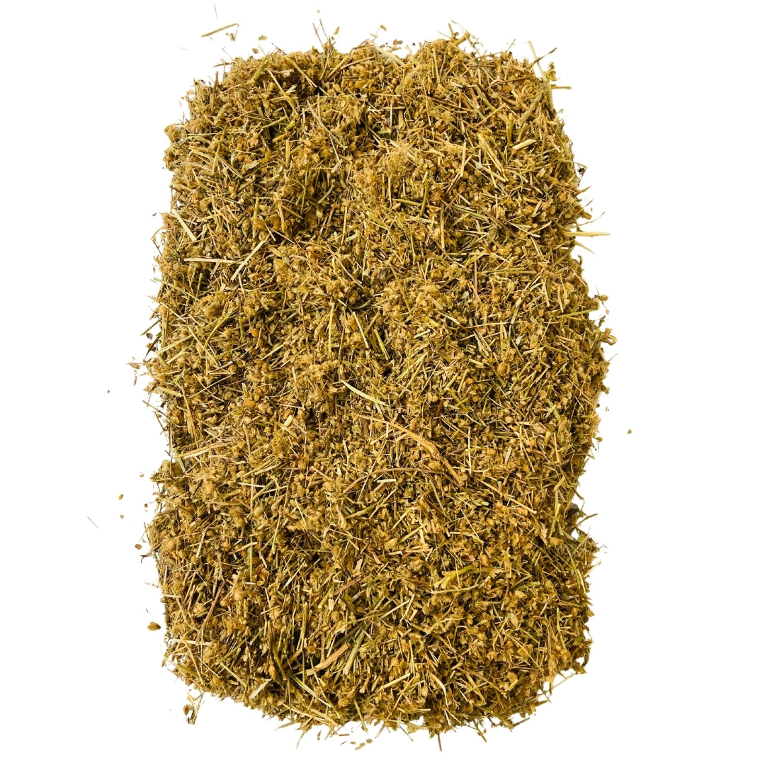 Shankhpushpi (Raw) - Sankhapuspi | Memory, Stress relief & Brain sharpness