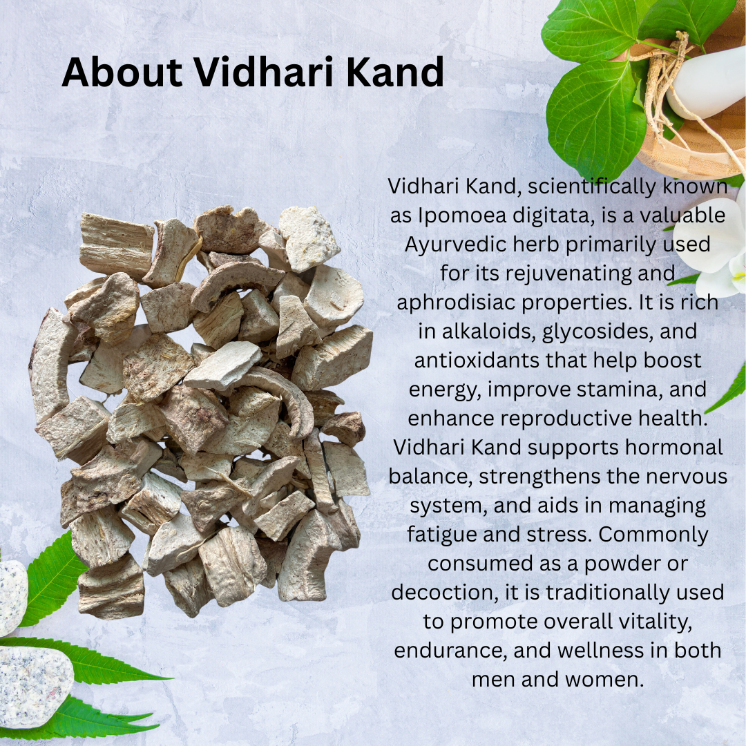 Bionest Herbals Vidhari Kand Powder